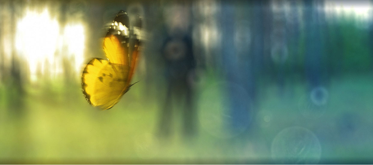 oko-graphics okofx animation