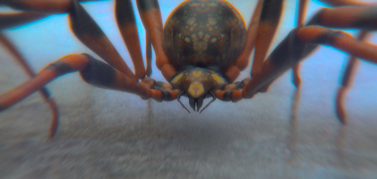 oko-graphics okofx animation