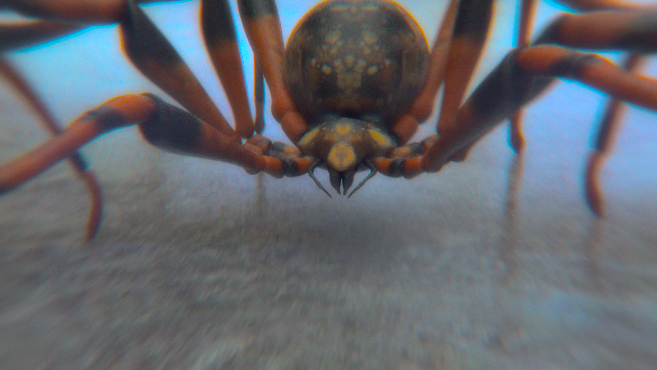 oko-graphics okofx animation