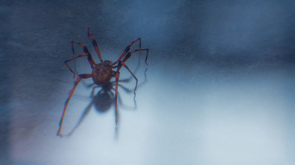 oko-graphics okofx animation